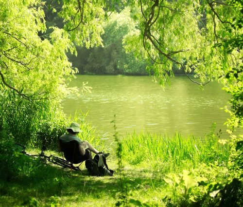 Imagem de Eldhose Kuriyan, na Unsplash.