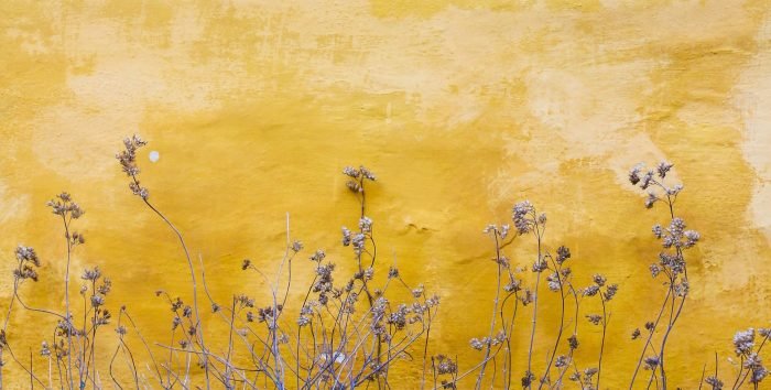 Imagem de Mona-Eendra, na Unsplash.